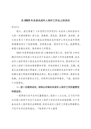 在2023年全县未成年人保护工作会上的讲话.docx