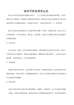 幼犬不吃东西怎么办.docx