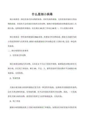 什么是细小病毒.docx