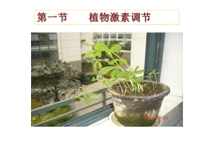 第一节植物激素调节名师编辑PPT课件.ppt