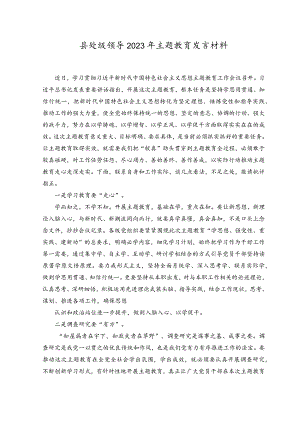 （2篇）县处级领导2023年主题教育发言材料.docx