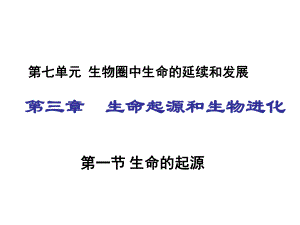 第一节地球上生命的起源.ppt