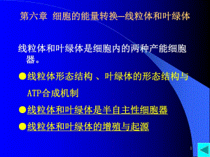第6章线粒体与叶绿体.ppt
