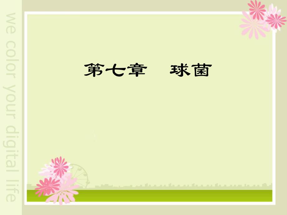 第七章球菌.ppt_第2页