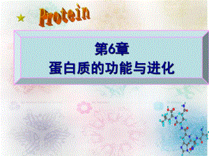 第6章蛋白质的结构与功能.ppt