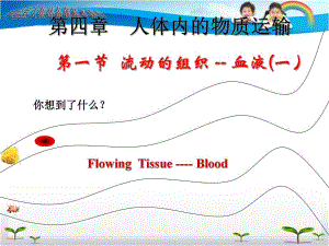 第一节流动的组织血液一名师编辑PPT课件.ppt