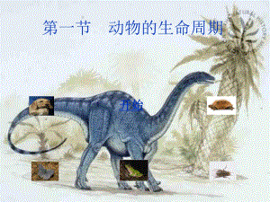 第一部分动物的生命周期教学课件名师编辑PPT课件.ppt