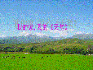 第一课时公开课这片土地是神圣的2.ppt