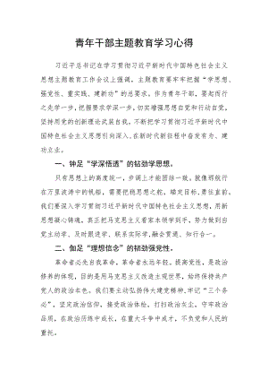 青年干部主题教育学习心得.docx