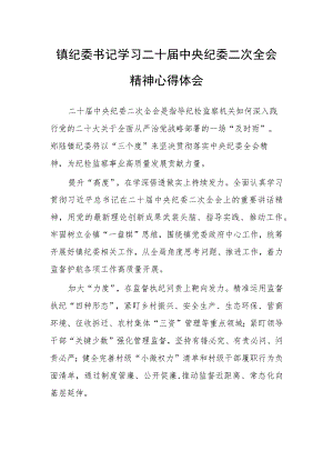 镇纪委书记学习二十届中央纪委二次全会精神心得体会.docx