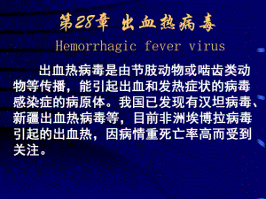 第一节汉坦病毒名师编辑PPT课件.ppt