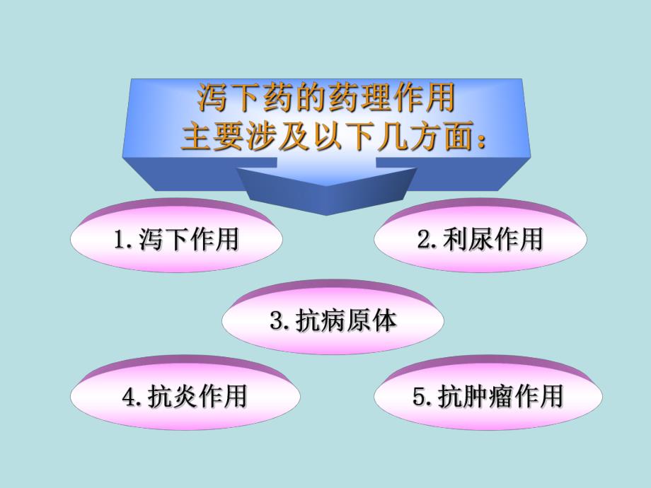 第七章泻下药名师编辑PPT课件.ppt_第3页