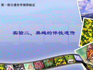 第一部分遗传学规律验证名师编辑PPT课件.ppt