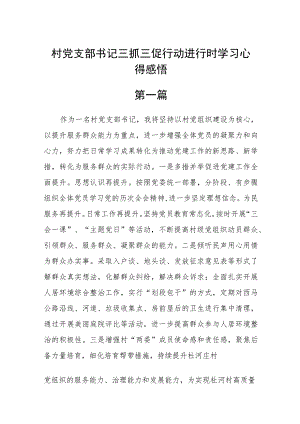 （6篇）村党支部书记三抓三促行动进行时学习心得感悟.docx