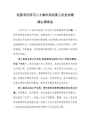 纪委书记学习二十届中央纪委二次全会精神心得体会.docx