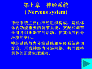 第七章神经系统.ppt