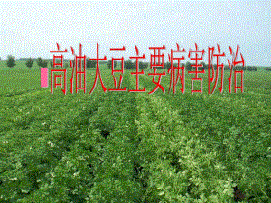 第一节高油大豆病害主要种类及防治名师编辑PPT课件.ppt