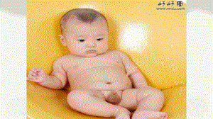 第一节尿的形成和排出第一课时.pptx