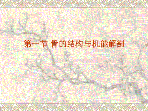 第一节骨的结构与机能解剖ppt课件名师编辑PPT课件.ppt