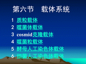 第6节载体系统.ppt