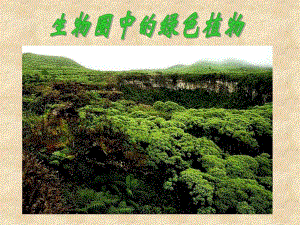 第一节藻类苔藓和蕨类植物课件.ppt