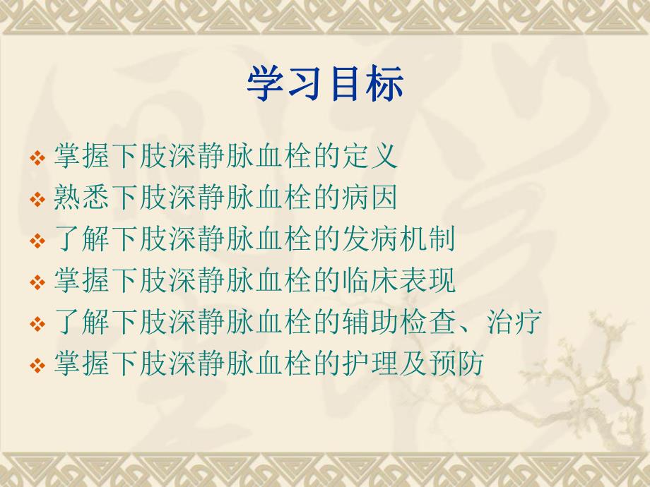 下肢深静脉血栓的护理.ppt_第2页