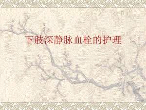 下肢深静脉血栓的护理.ppt