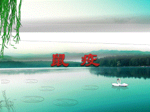鼠疫的防治.ppt