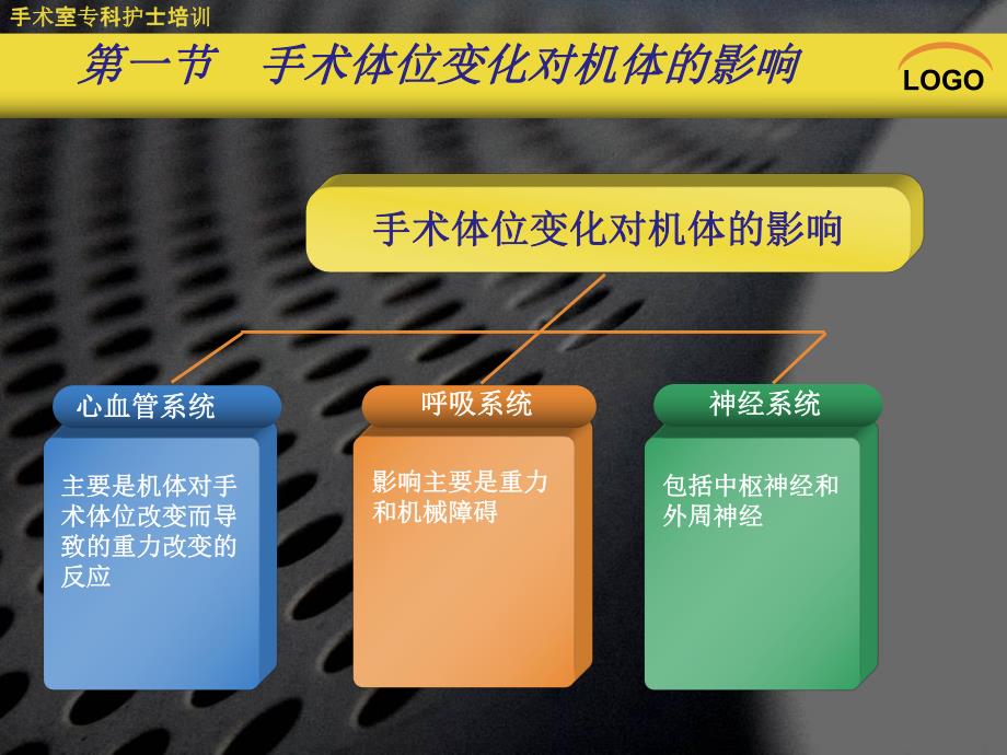 手术体位.ppt_第3页