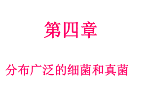 第一节细菌和真菌的分布.ppt.ppt