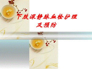 下肢深静脉血栓的护理.ppt