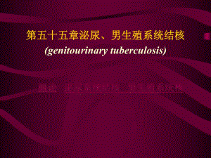 泌尿系结核[优质文档].ppt