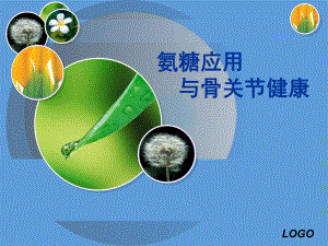 氨糖应用与骨关节健康.ppt1.ppt