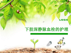 下肢深静脉血栓的护理.ppt