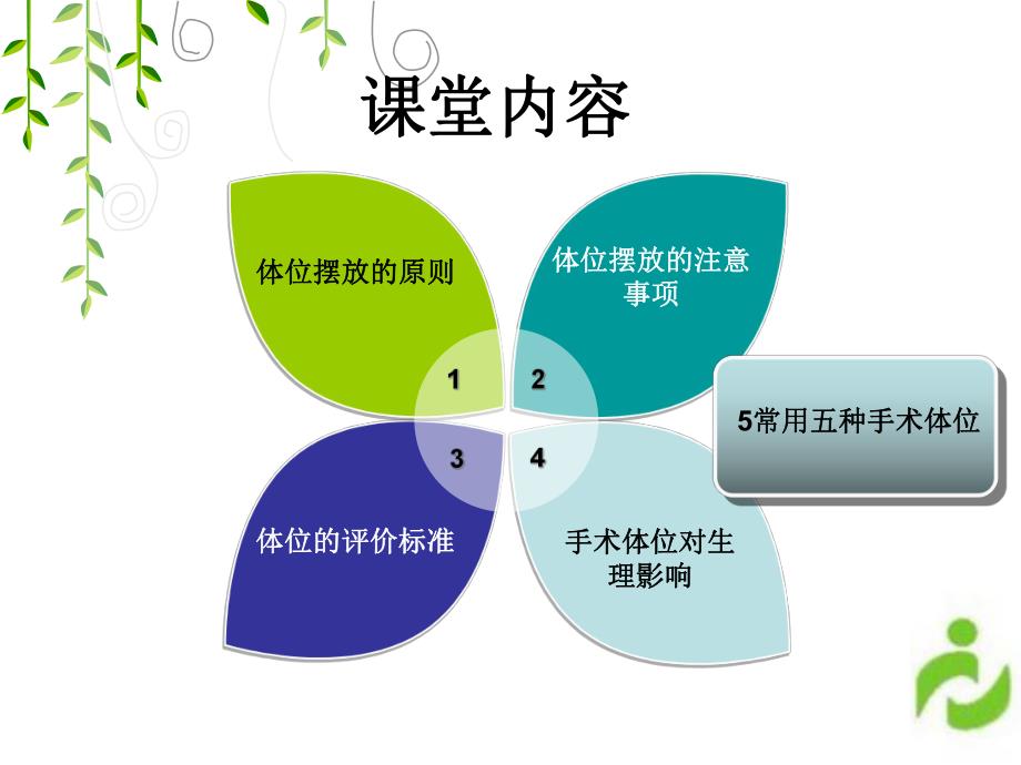 手术体位.ppt_第2页