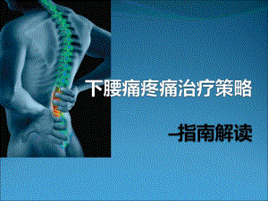 成都骨科会议幻灯片下腰痛疼痛治疗策略.ppt
