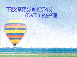 下肢深静脉血栓形成的护理.ppt