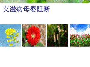 1—艾滋病母婴阻断.ppt