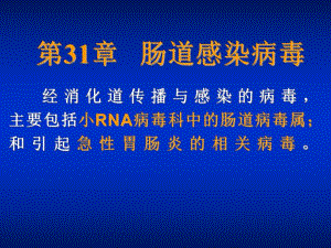 肠道病毒.ppt