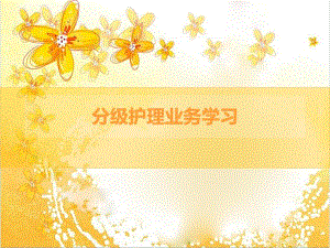 分级护理业务学习.ppt