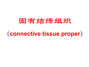 结缔组织(二)软骨肌组织.ppt