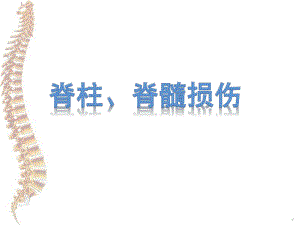 脊柱、脊髓损伤.ppt
