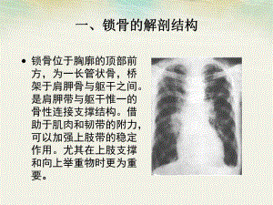 锁骨骨折病人的护理.ppt