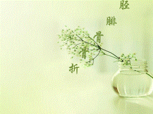 胫腓骨骨折查房模版.ppt