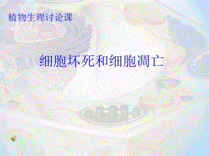 细胞凋亡与细胞坏死.ppt