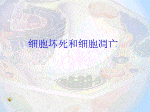 细胞凋亡与细胞坏死.ppt