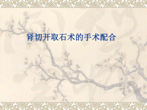 肾切开取石术的手术配合.ppt