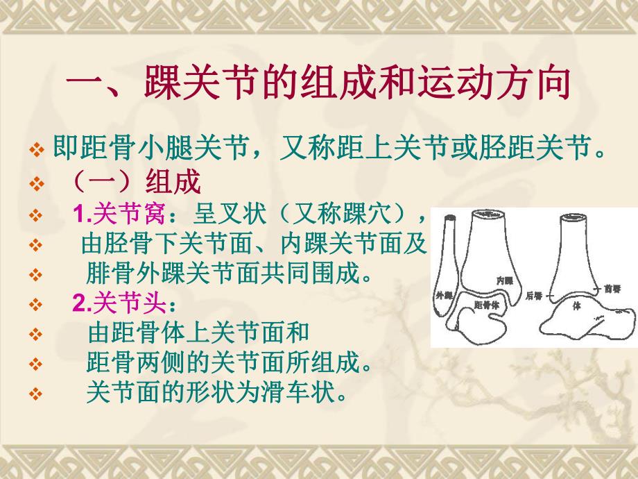 踝关节的基础知识.ppt_第3页