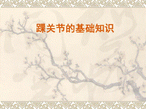 踝关节的基础知识.ppt