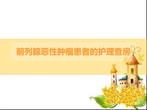 前列腺癌的护理查房.ppt.ppt